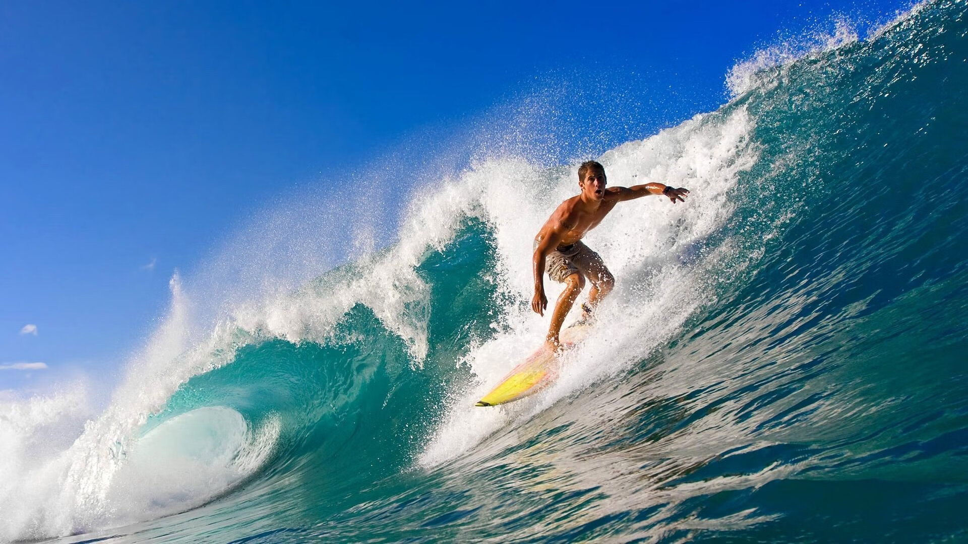 民族传统斗牛竞技盛典，文化与体育的完美碰撞，斗牛比赛规则详细